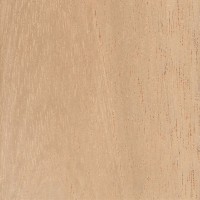Spanish Cedar/ Cedro Amargo sample