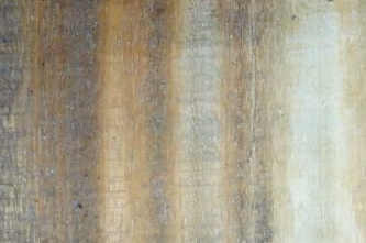 Blackbeads tree wood sample