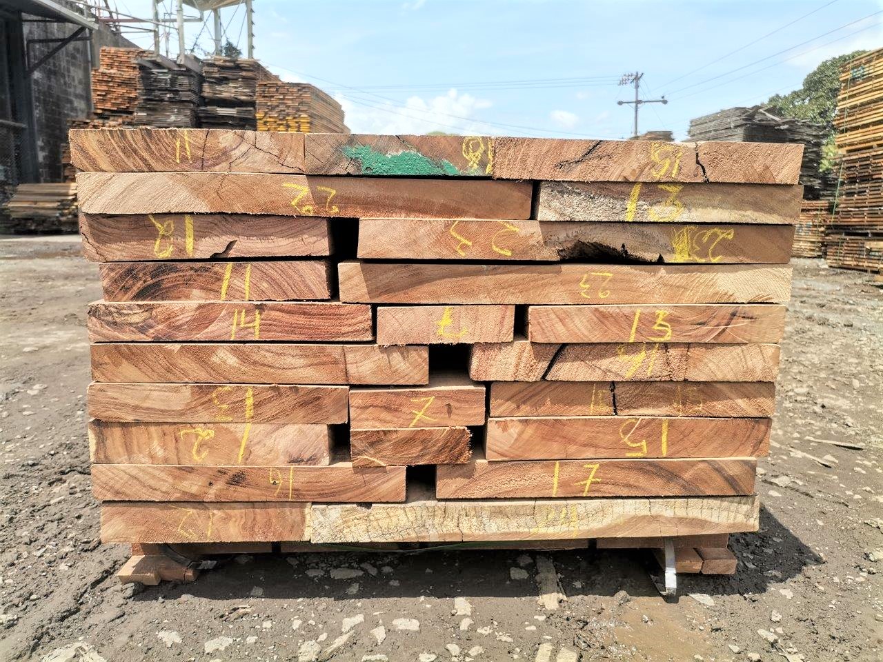 Lumber Bundle C1915627pcs8/4Parota Premium Wood Slabs